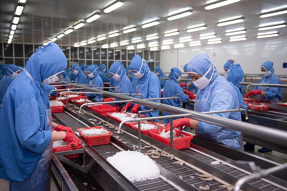 Hoạt động sản xuất tôm xuất khẩu tại Công ty Sao Ta
