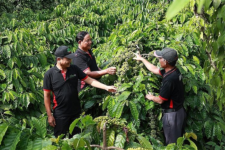 Tăng trưởng xanh là lợi thế thu hút vốn FDI vào nông nghiệp Việt Nam