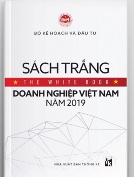 Công bố Sách trắng doanh nghiệp Việt Nam 2019