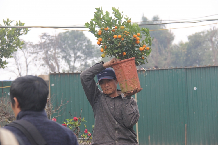 cuoi nam lao dong vuon dao quat kiem bon tien