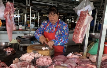 “Tư lệnh” ngành nông nghiệp đề nghị hạ giá lợn xuống 70.000 đồng/kg