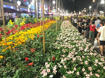 Làng hoa Sa Đéc được tái hiện tại hội hoa Xuân