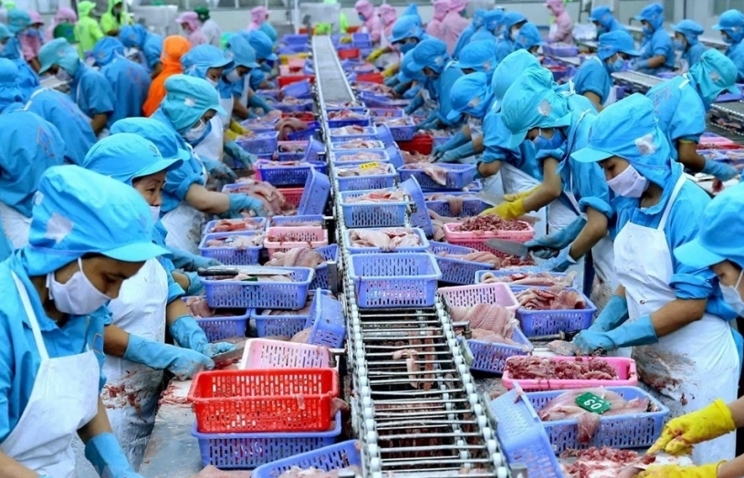 Thị trường Mỹ ưa chuộng các sản phẩm thủy sản của Việt Nam