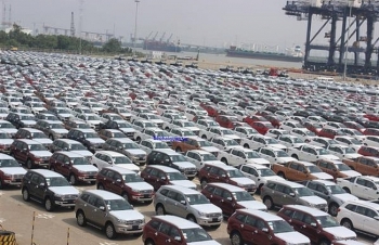 Hơn 1.500 xe ô tô cập cảng Sài Gòn trong tuần đầu năm Kỷ Hợi