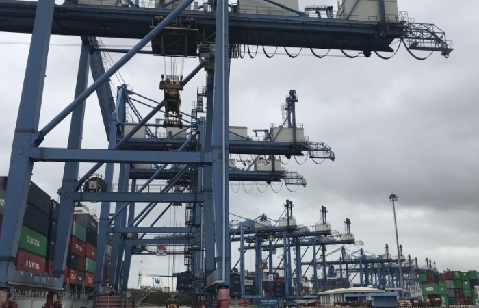 Vì sao tăng phí tại cảng Cát Lái?