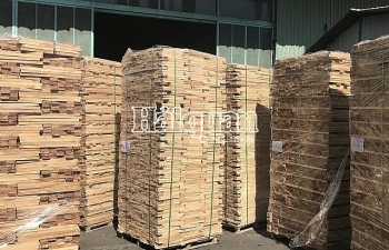 Doanh nghiệp xuất khẩu 111 container gỗ bị phạt và truy thu thuế gần 7 tỷ đồng