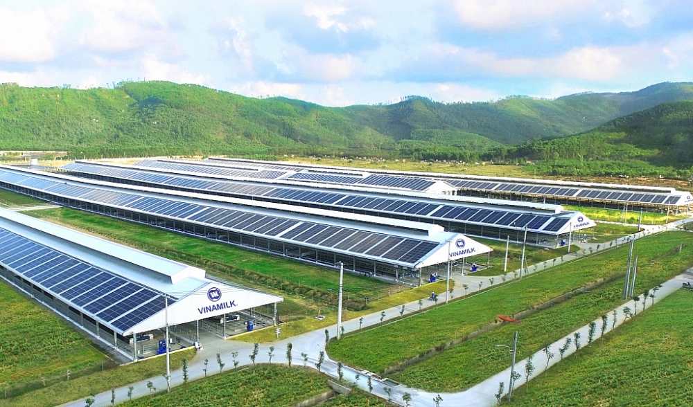 Trang trại Vinamilk Quảng Ngãi đã hoàn thiện và đưa vào hoạt động hệ thống năng lượng mặt trời