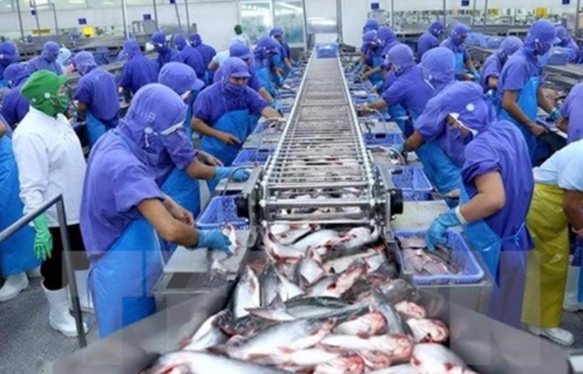 Xuất khẩu 4 loài thủy sản vào Nhật Bản phải có chứng nhận thủy sản khai thác