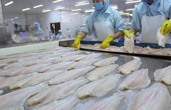 Mỹ tăng thuế đối với cá tra Việt Nam