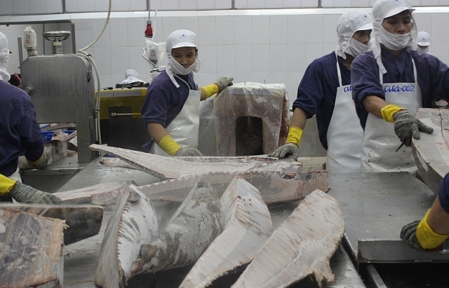 Đảo chiều xuất khẩu cá ngừ sang thị trường ASEAN và Trung Quốc