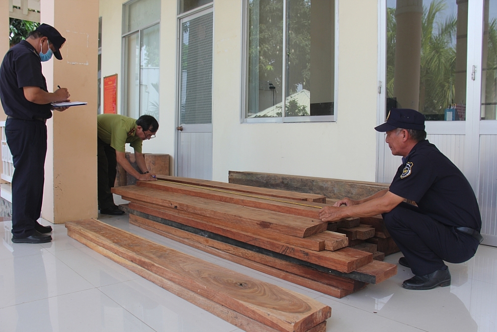 Hải quan Đồng Tháp bắt giữ lượng lớn gỗ nhập lậu từ Campuchia