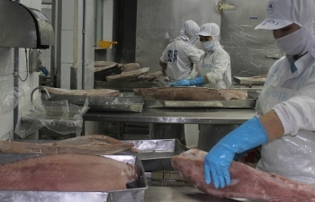 Nhiều lợi thế xuất khẩu cá ngừ sang ASEAN