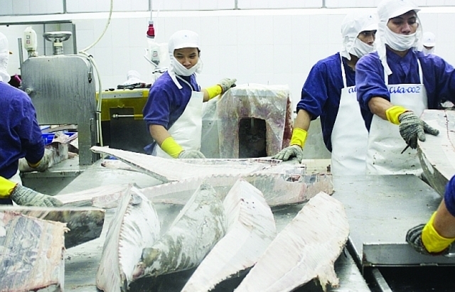 33 mặt hải sản Việt Nam được nhập khẩu miễn thuế vào Trung Quốc