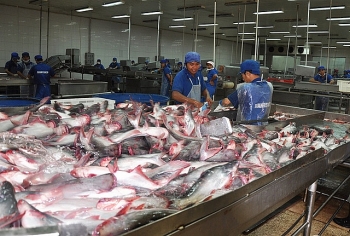 Mở rộng thị trường xuất khẩu cá tra