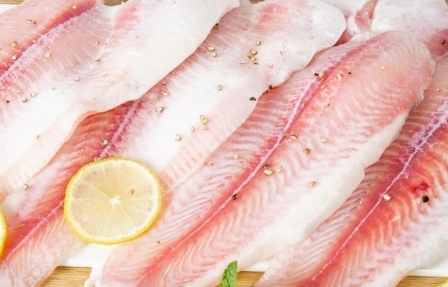 EKONGFISH CO sẽ dành 70% sản lượng cá tra cho xuất khẩu