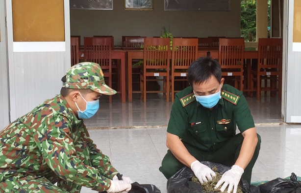 Bắt 13 kg nghi cần sa từ Campuchia về Việt Nam