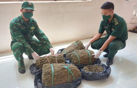 Tạm giữ 19 kg nghi cần sa nhập lậu từ Campuchia về Việt Nam