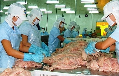 Mỹ công bố văn bản công nhận Việt Nam đủ điều kiện XK cá da trơn