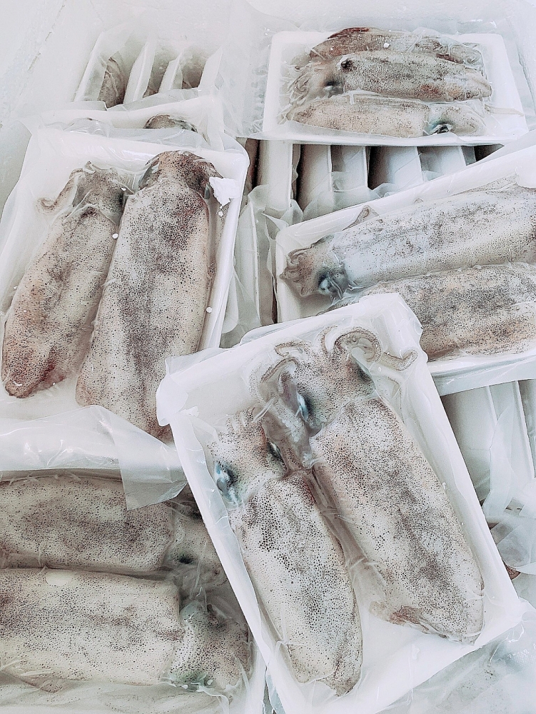 Hàn Quốc là thị trường nhập khẩu mực, bạch tuộc lớn nhất Việt Nam