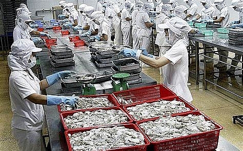 Bạch tuộc đang có giá cao kỷ lục tại Nhật