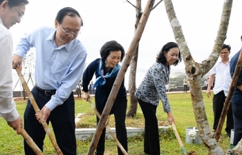 110.000 cây xanh được Vinamilk tặng người dân Bình Định