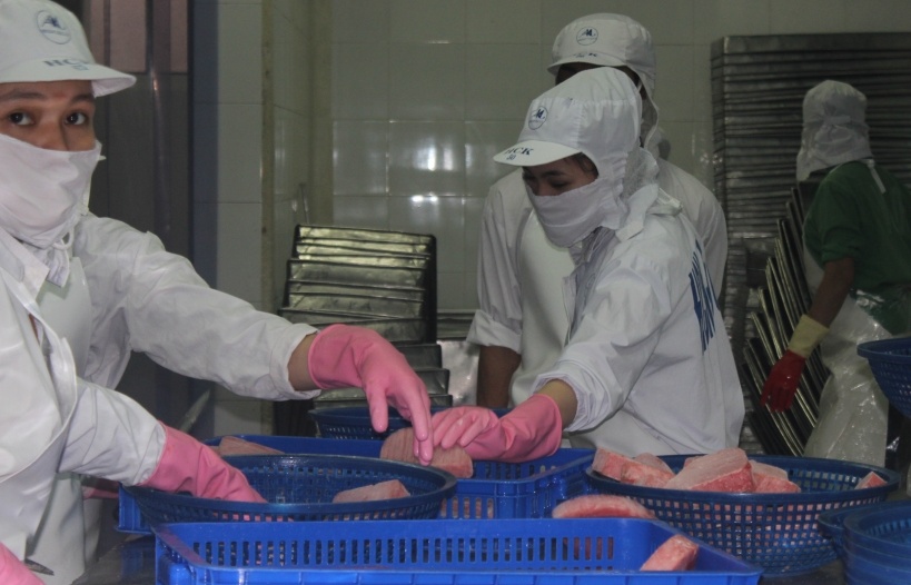 Xuất khẩu cá ngừ sang Ba Lan tăng gấp gần 8 lần