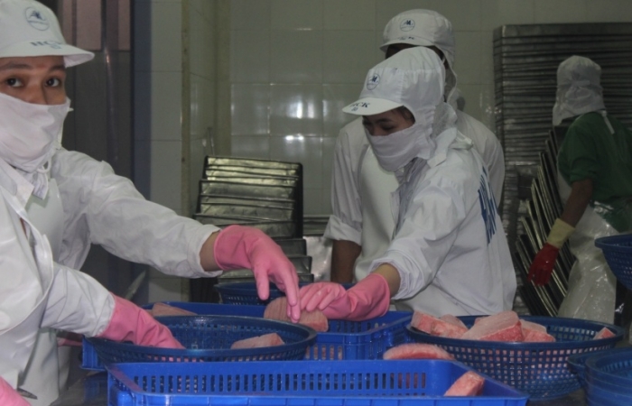 Xuất khẩu cá ngừ sang Anh vẫn khó phục hồi