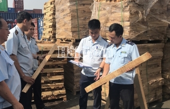 Hải quan TPHCM bắt 1.000m3 gỗ xẻ xuất khẩu, trốn thuế gần 3 tỷ đồng