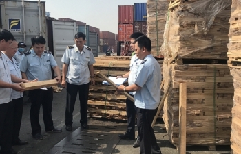 Doanh nghiệp xuất 25 container gỗ gian lận 3 tỷ tiền thuế không còn hoạt động
