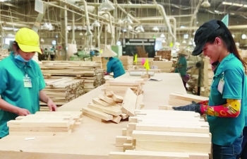 Doanh nghiệp gỗ, thủy sản “chới với” khi đối tác liên tục giãn đơn hàng