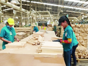Điều gì đang chờ đợi xuất khẩu gỗ Việt?