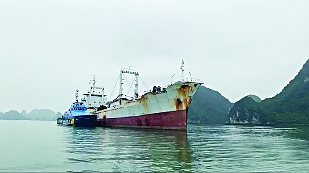 Tàu của Hải đội 1 sai áp tàu CHUNG CHING và tang vật vào cầu tàu của đơn vị tại TP Hạ Long, Quảng Ninh.