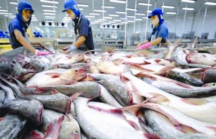 Xuất khẩu cá tra sang Ả Rập Xê út tăng hơn 13%