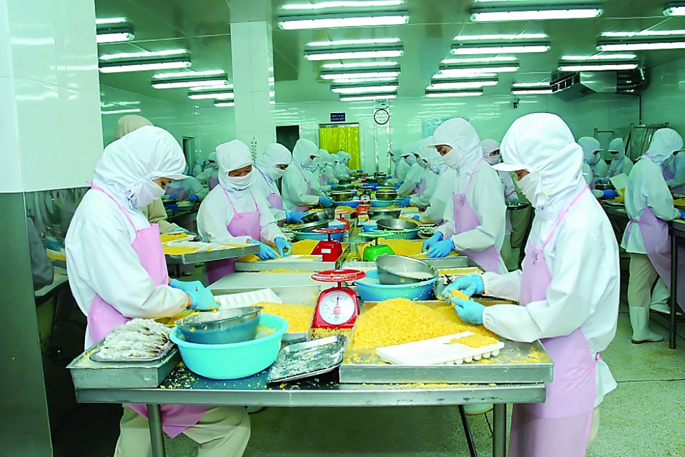 Chế biến cá tra xuất khẩu. Ảnh: ST