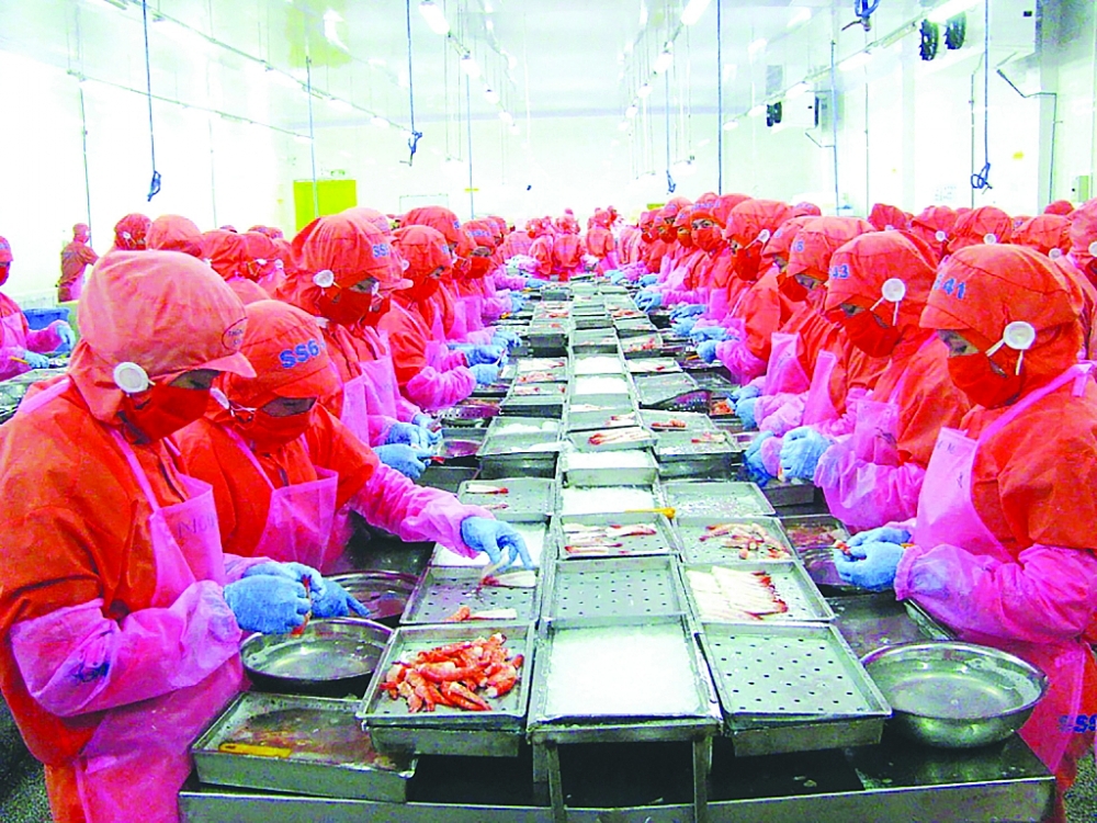 Dự báo, xuất khẩu tôm của Việt Nam trong năm 2023 sẽ phải đối mặt với rất nhiều khó khăn. 	Ảnh: N.Thanh