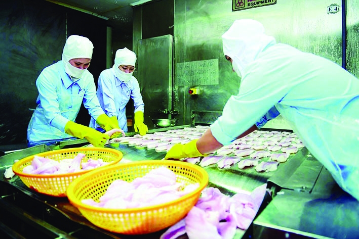 Chế biến thủy sản xuất khẩu tại Công ty Fimex Việt Nam. 	Ảnh: TL