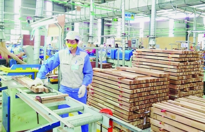 Kiểm soát chặt gỗ nhập khẩu: “Át chủ bài” phát triển ngành gỗ