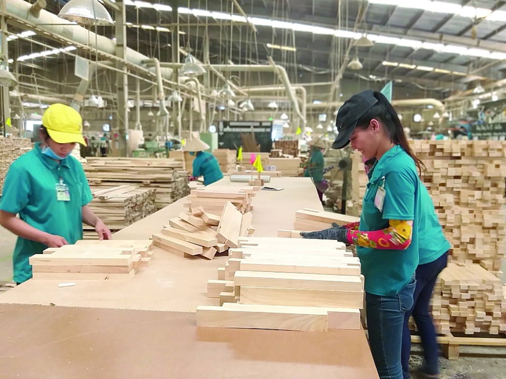 Giảm rủi ro về tính hợp pháp của gỗ nhiệt đới NK có vai trò sống còn đối với ngành gỗ Việt với trọng tâm ưu tiên vào XK. 	Ảnh: N.Thanh