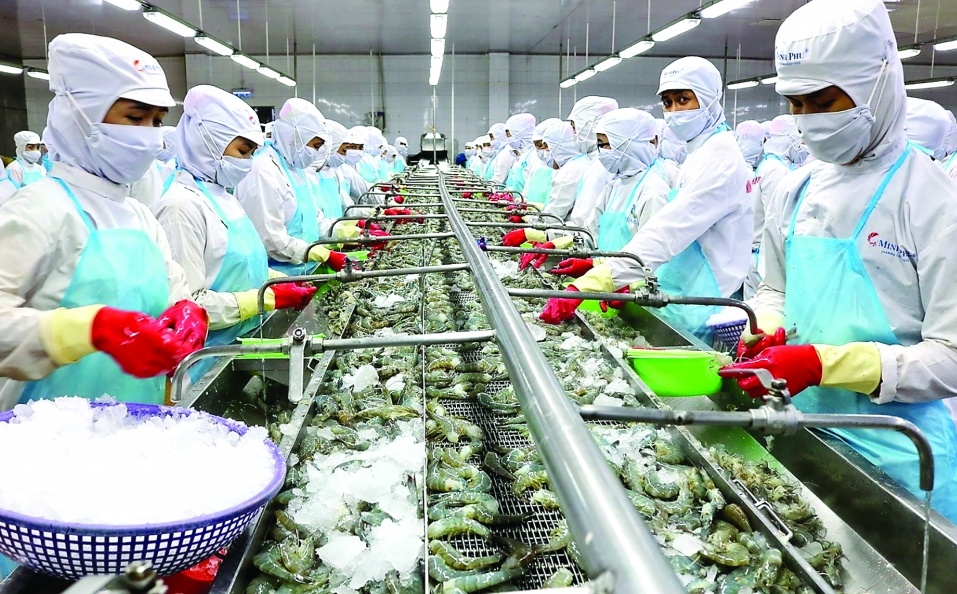 Việt Nam cung cấp tôm lớn nhất cho Nhật Bản