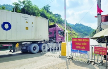 Gần 2.400 tấn vải quả tươi xuất khẩu qua các cửa khẩu của tỉnh Lạng Sơn