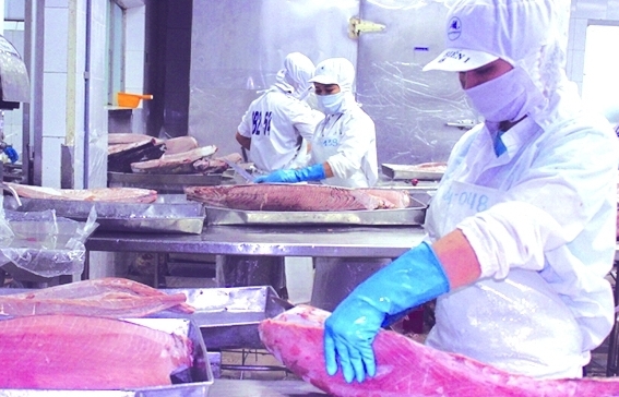 Thịt, thủy sản, trứng xuất khẩu vào Đài Loan phải kiểm tra tính hệ thống