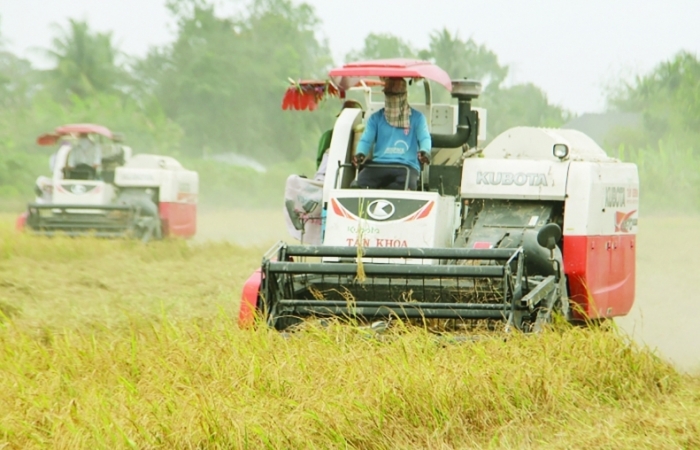 Gạo Việt Nam xuất khẩu lập kỷ lục trên 1.000 USD/tấn