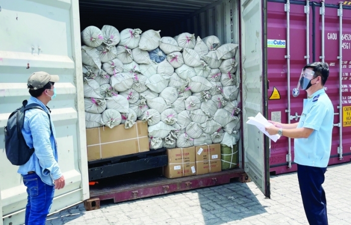 Hải quan miền Đông Nam bộ hỗ trợ doanh nghiệp phục hồi hoạt động xuất nhập khẩu