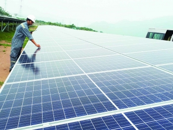 Một mức giá điện mặt trời: Lo kém cạnh tranh, quá tải lưới điện