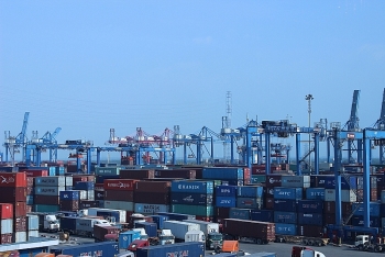 Bố trí khu vực riêng thông quan nhanh hàng hóa qua cảng Cát Lái