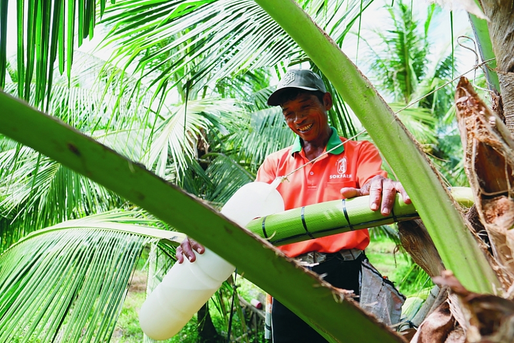 Những sản phẩm từ mật hoa dừa của Sokfarm đã mang lại sinh kế tốt hơn cho người Khmer ở Trà Vinh.  Ảnh: DNCC