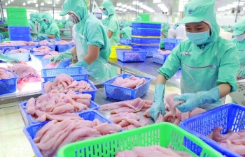 7 doanh nghiệp xuất khẩu cá tra sang Hoa Kỳ được hưởng thuế suất 0%