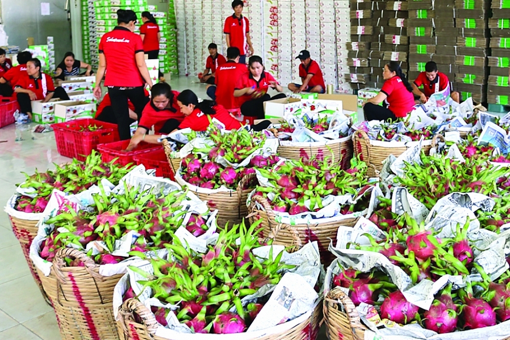 Các FTA đã giúp nông sản Việt Nam tiến sâu vào các thị trường lớn. 	Ảnh: N.Hiền