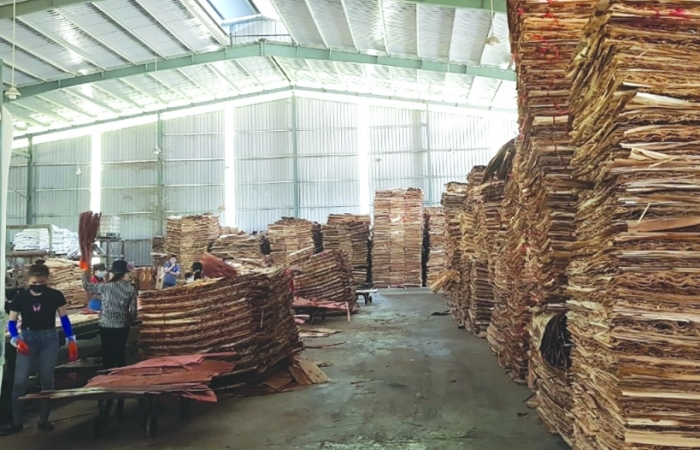 Kiểm soát rủi ro nhập khẩu gỗ từ Trung Quốc
