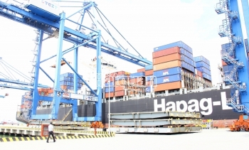 20 mặt hàng có kim ngạch XNK lớn tại cảng Cái Mép- Thị Vải phải kiểm tra chuyên ngành